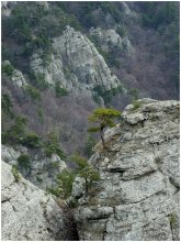 The Crimean landscape / ***