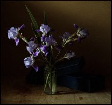 Stillleben mit Iris / ***