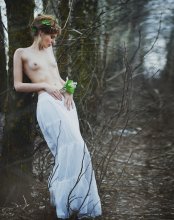 Spring shyness / ***