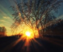 Spring sunset / -----