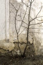 The crack in the wall / ***