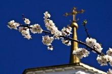Spring ... / ***