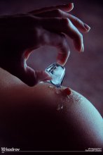 Ice / ***