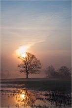 Awakened by the sun / ***