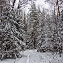 and then the winter :) / ***