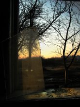 Window / ***