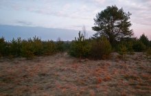 The first rays of / _________________*