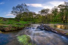 Fast the April water / ***
