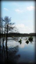 Spring / ***