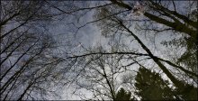 April sky. / ***