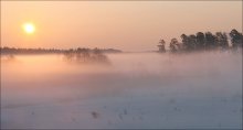 In a light fog / ***
