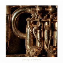 Chet / ***