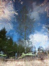 Reflection / ***