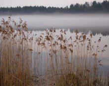 Series: fog / ,,,,,,,,,,,,,,,