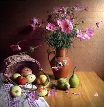 With apples / ***