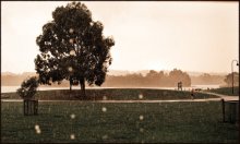 the rain / *****