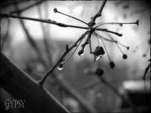 Nach dem ersten regen / ***