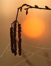 A new day / 21.04