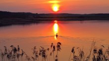 A sunset in the spring / ***
