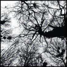 &nbsp; / portishead