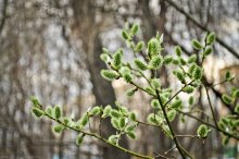 Spring / ***