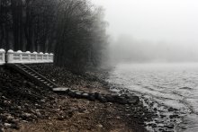 the mist / ***
