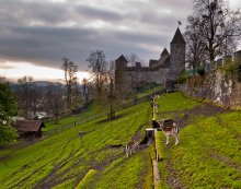 The walls of the castle Rapperswil / ***