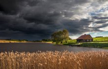 There was a thunderstorm .... / ***