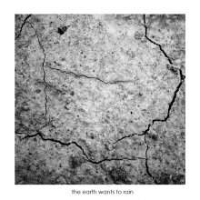 Land will regen / =-=