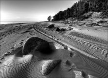 On the trail / ***