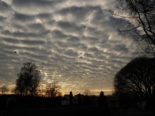 The sky above the garden / ***