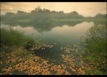 Autumn Letters / ***
