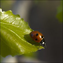 always on the edge :-) / ***