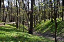 Spring / ***