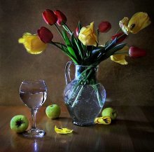 From tulips / ***