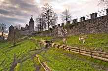 Die Mauern des Schlosses Rapperswil 2 / ***