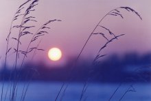 "Winter Sunset" / ***