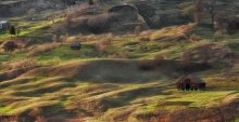 Pano Spring / .............