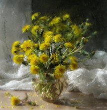 Dandelions / *******************