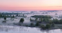 Foggy morning / ***