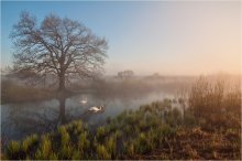 In the morning mist / ***