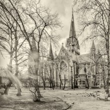Church and pigeons. Spring / ***