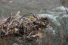 Spring flooding / ***