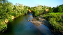 Acacia scented shores / ***