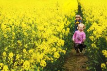 Welpen in der / ***