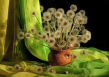 Bouquet of dandelions / *********************