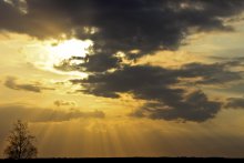 the evening sky / ***