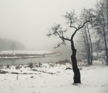 Loneliness / ***