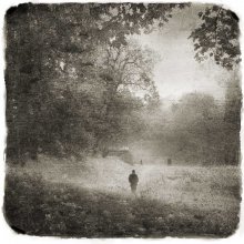 In the park / ***