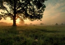 Dawn / ***